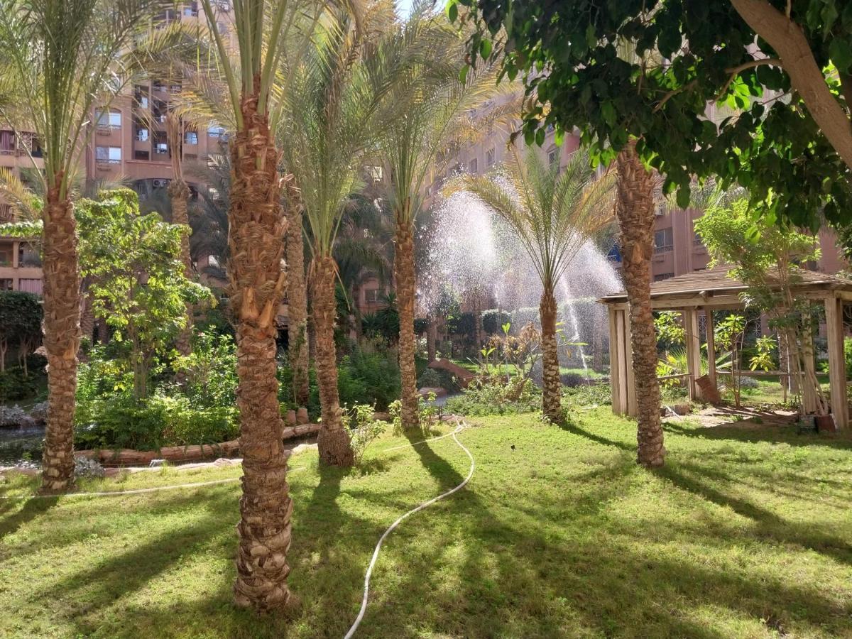 Apartment Compound Towers Elwaha